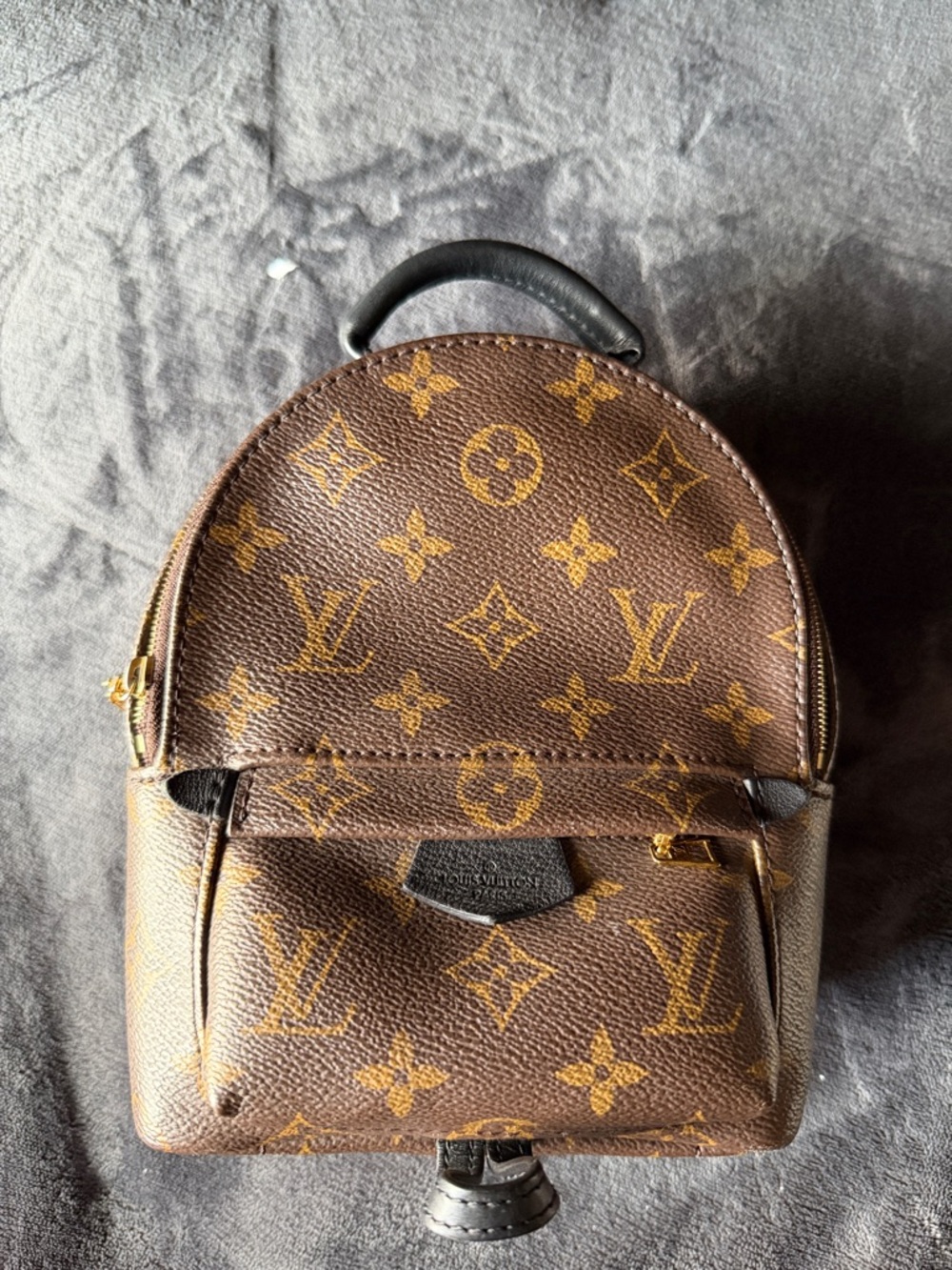 Louis Vuitton Palm Springs Mini Backpack